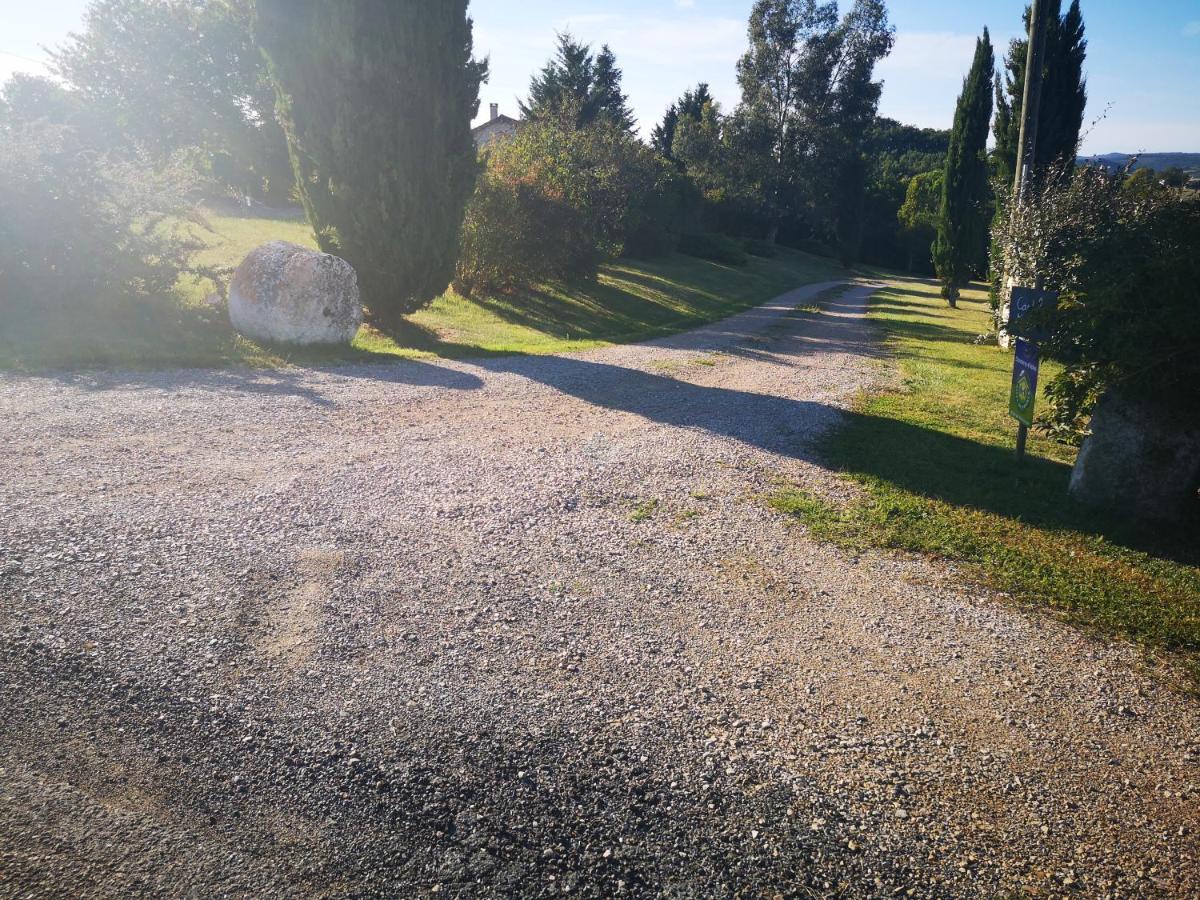Castel Mazars Bed & Breakfast Castelnau-de-Montmiral Bagian luar foto