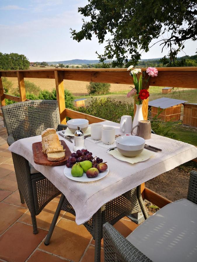 Castel Mazars Bed & Breakfast Castelnau-de-Montmiral Bagian luar foto