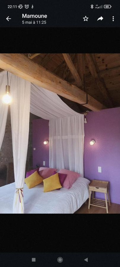 Castel Mazars Bed & Breakfast Castelnau-de-Montmiral Bagian luar foto